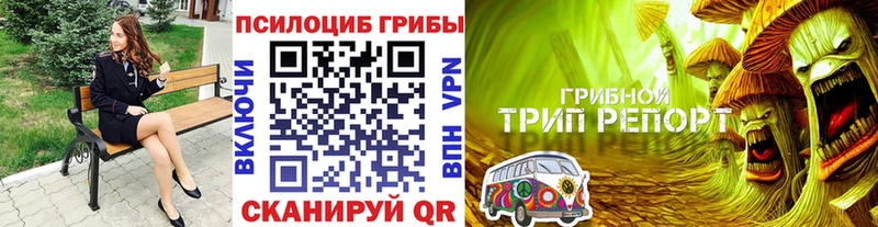 Галлюциногенные грибы ЛСД  Купить закладки  Пучеж 